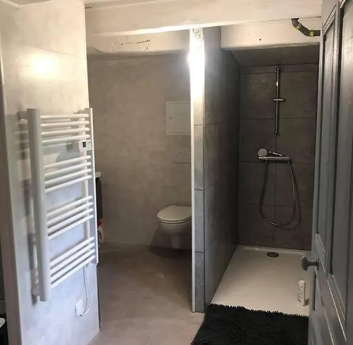 La Vigne Au Cœur Du Livradois Forez Hébergement de vacances *