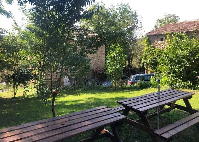 Hébergement de vacances La Vigne Au Cœur Du Livradois Forez